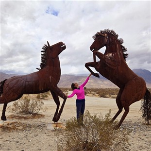 Colorful Splendor of Borrego Springs and Julian