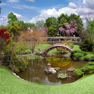 Springtime at the Huntington Gardens & Art Museum