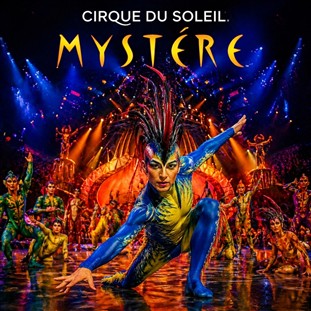 Mystere: Cirque du Soleil Giant Dome Experience