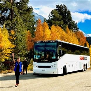 Autumn Colors in Majestic Mammoth Lakes