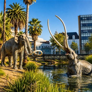 La Brea Tar Pits & L.A. Farmers Market