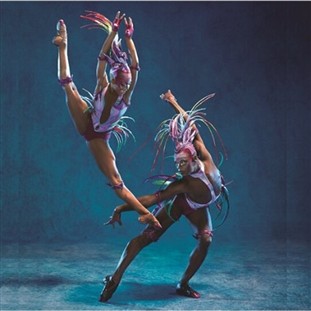 Cirque du Soleil's Mystere: Cinematic Experience: 