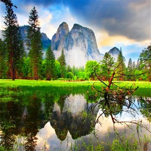 Springtime in Yosemite & the Sugar Pine Railroad