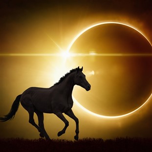 Chasing Shadows: 2024 Total Eclipse Adventure