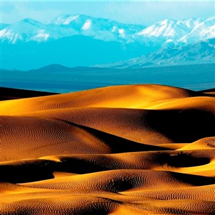 Death Valley Discovery
