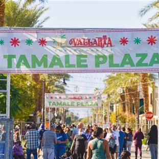 Tamale Plaza at the Tamale Festival