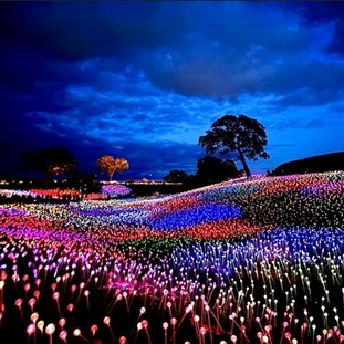 Coastal Canvas, Clydesdales & Land of Luminescense