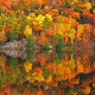 Autumn in New England & Cape Cod