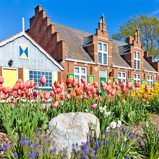 Holland Tulip Festival in Michigan