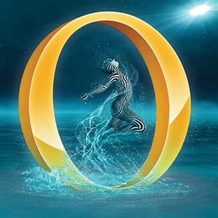 Cirque du Soleil: Immersive Reality Experience