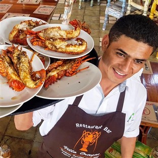 Mexico: Rosarito & Puerto Nuevo with Lobster Lunch