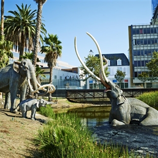 La Brea Tar Pits & L.A. Farmers Market