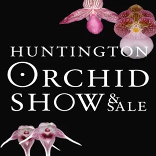 Huntington Gardens, Orchid Show & Sale