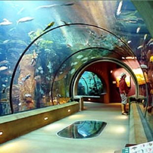 Aquarium of the Pacific: Special Seniors Day