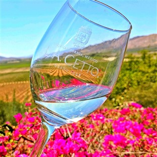 Mexico: Wine Tasting & Lunch in Guadalupe Valley