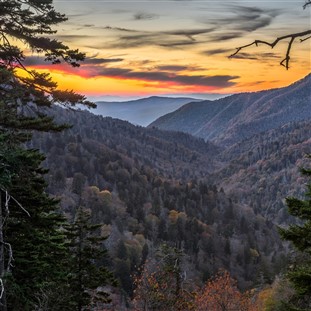 From Blue Ridges to Blue Grass