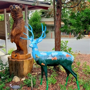 Idyllwild Art in the Park