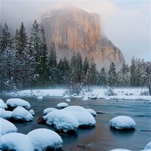 Yuletide in Yosemite and a Wonder Valley Christmas