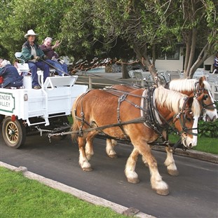 Old-Fashioned Thanksgiving at Wonder Valley Ranch