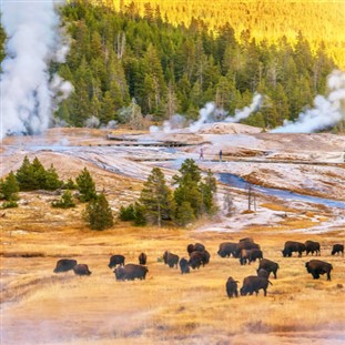 Yellowstone, Grand Tetons, and Mount Rushmore