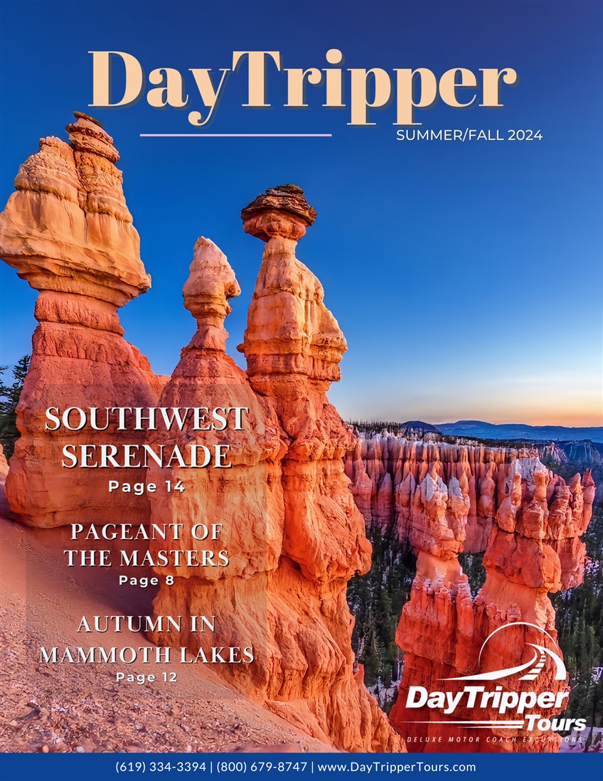 DayTripper Tours