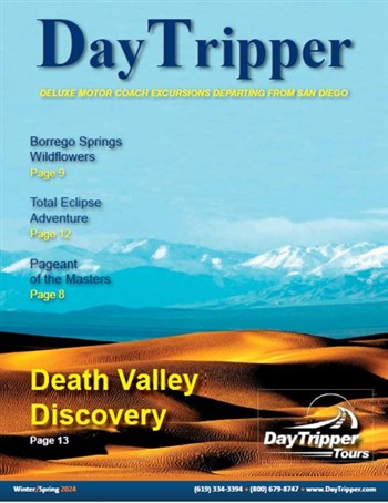 DayTripper Tours