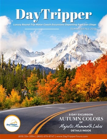 DayTripper Tours Summer 2025